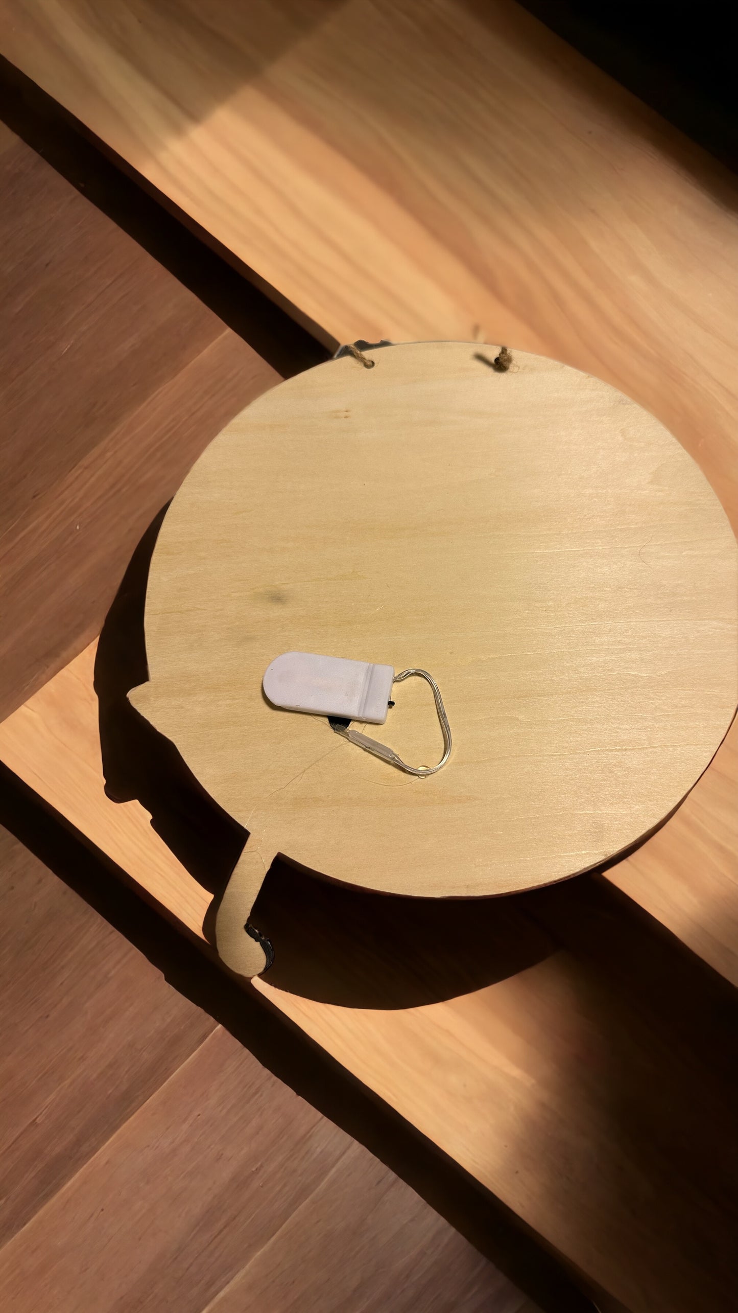 Fried Pussy Cat Door Hanger